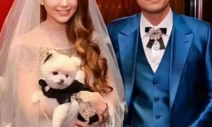 糖分严重超标！周杰伦昆凌把旅综录成恋综，网友：天王嫂的幸福养成记