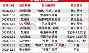就这一股，大摩、小摩联合买了一个亿！