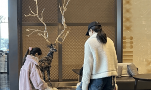 44岁董洁大连聚餐被偶遇，依偎在男友人肩膀满脸娇俏，素颜出镜嫩的像20多岁！