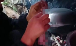 35天减28斤！25岁女孩获海岛求生赛季军：为生存吃老鼠、蜈蚣