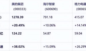 争议中的董明珠：与其盯着雷军，不如去学方洪波