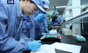 神十九都带回了哪些实验样品？果蝇等生命类样品已交付科学家