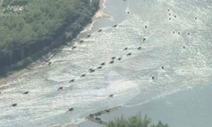 火上热搜！“五一”期间漓江景区“堵船”像“东吴水军出击”，景区工作人员回应